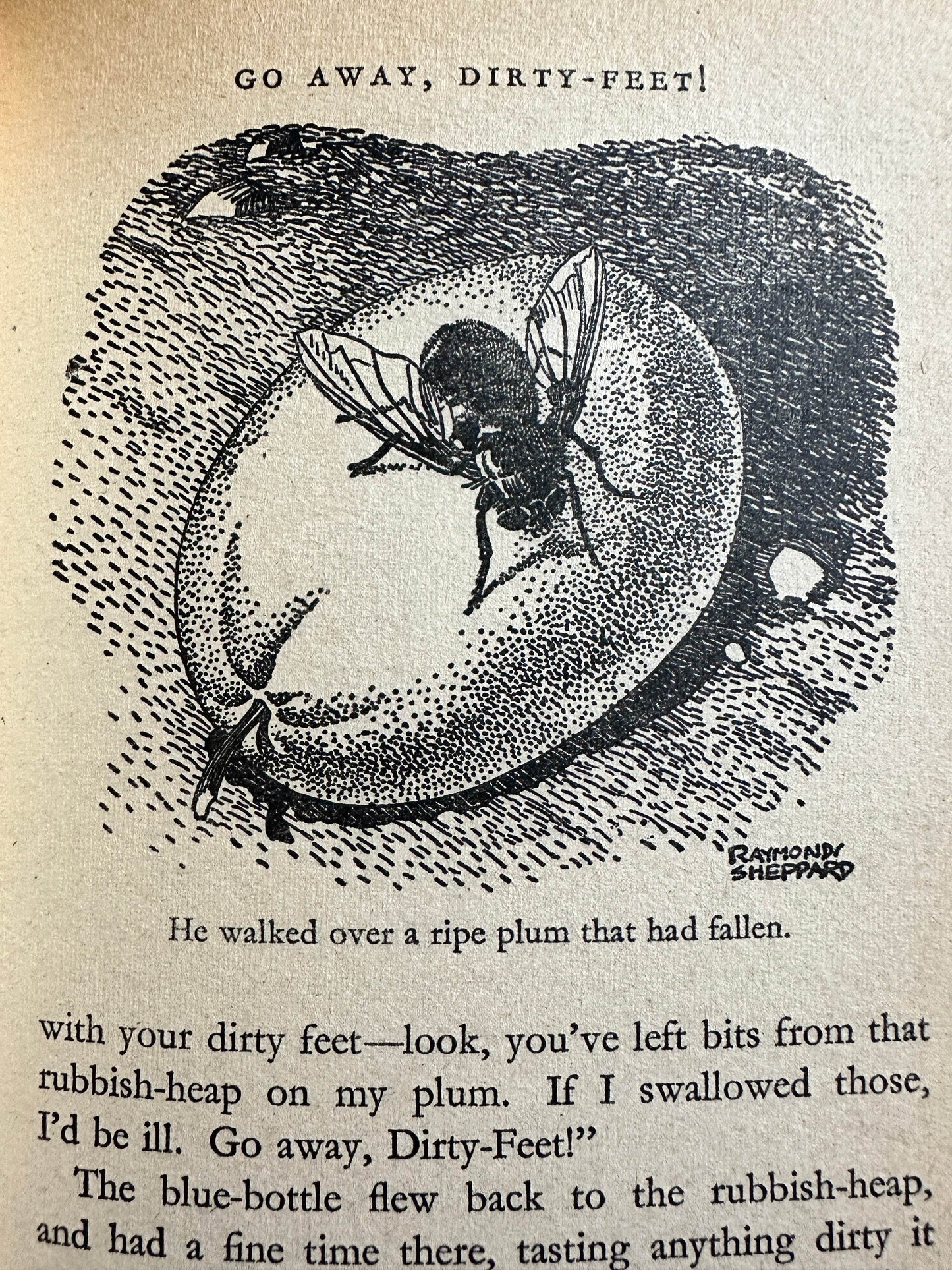 Illustration from The Adventures of Pip Enid Blyton vintage book featuring a blue bottle fly on a plum