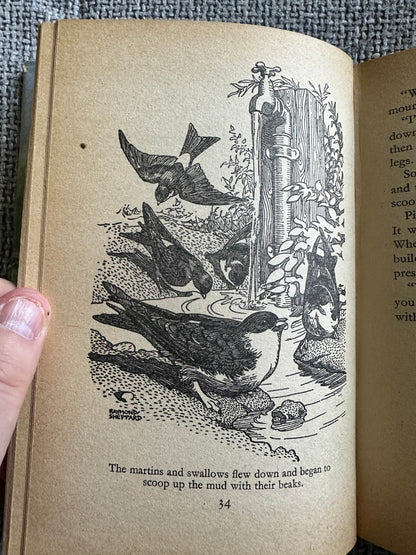 Illustration from The Adventures of Pip Enid Blyton vintage book featuring martins and swallows by a water source.