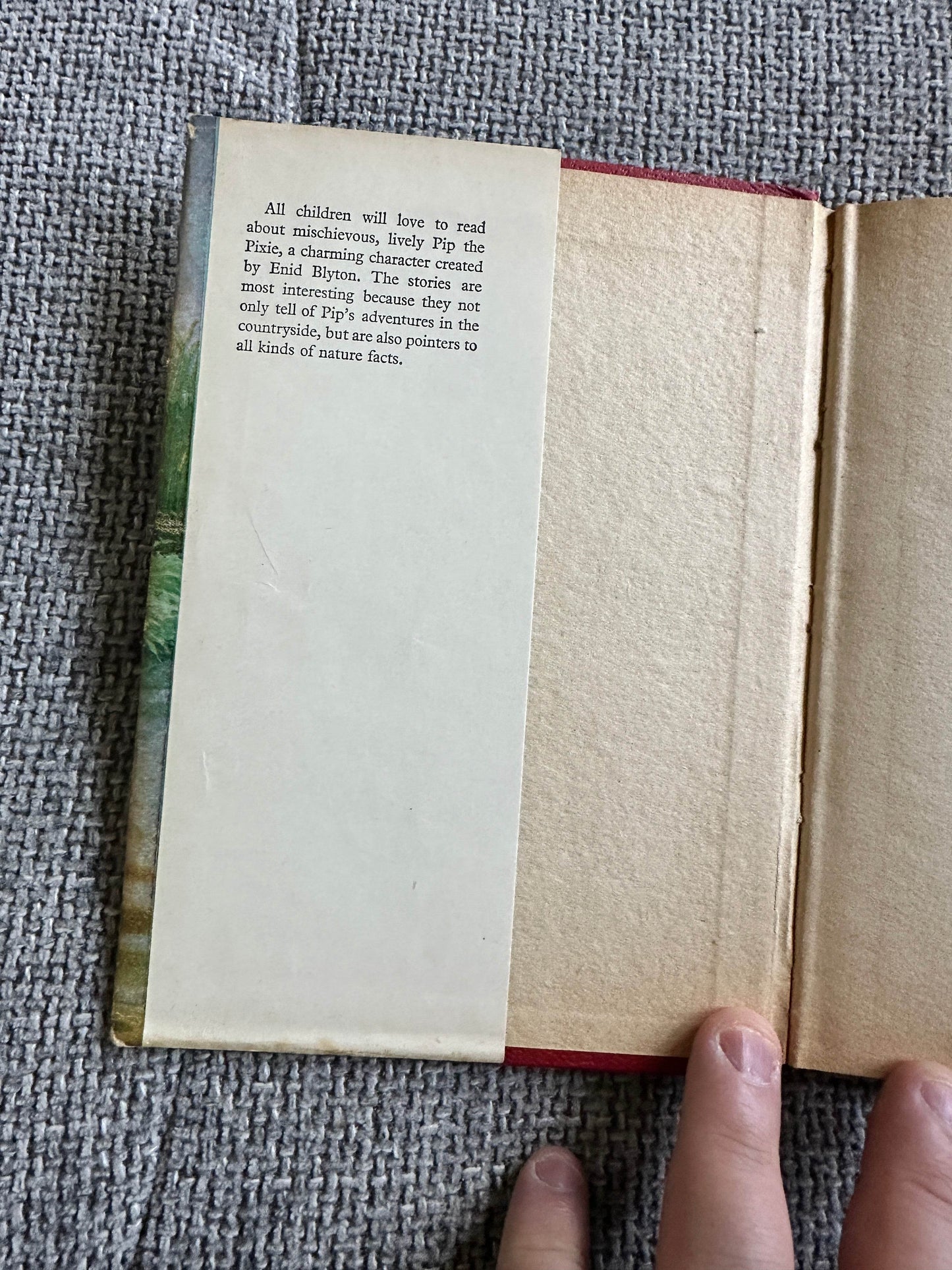 The Adventures of Pip Enid Blyton vintage book pages showcasing colorful illustrations and character descriptions