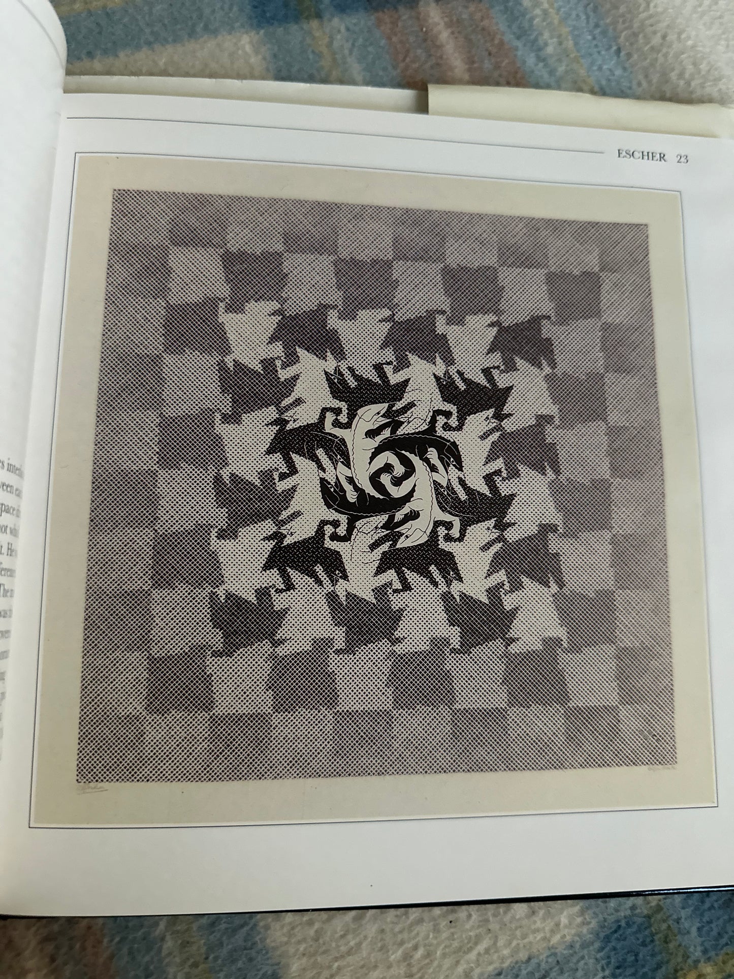Artwork from The Life and Works of Escher showcasing intricate patterns and optical illusions