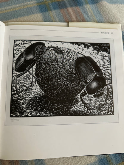 Illustration from The Life and Works of Escher showing two beetles on a textured sphere
