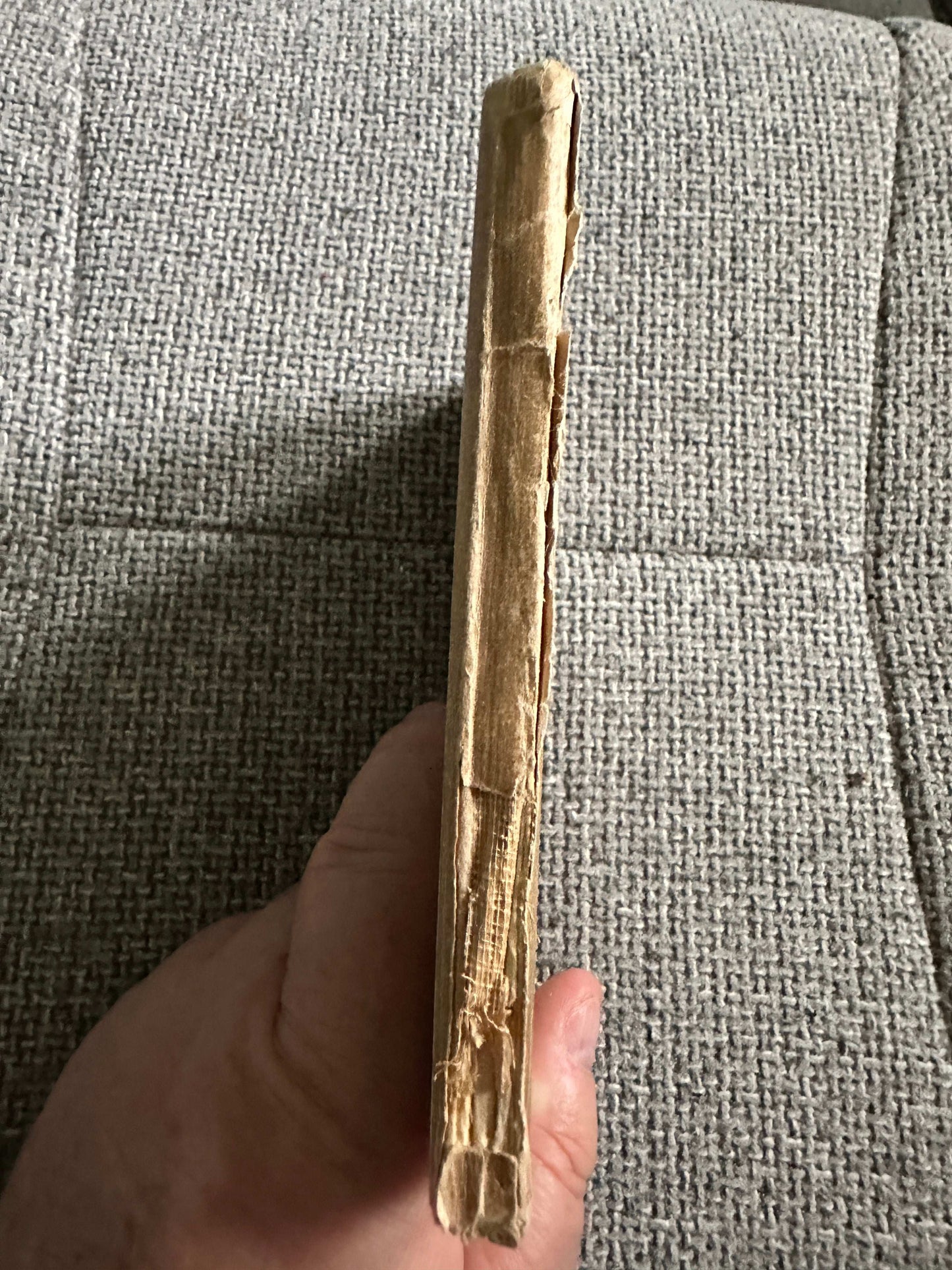 Side view of The Sea-Shore Fairies first edition book showing worn cover and spine