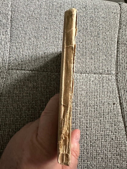 Side view of The Sea-Shore Fairies first edition book showing worn cover and spine