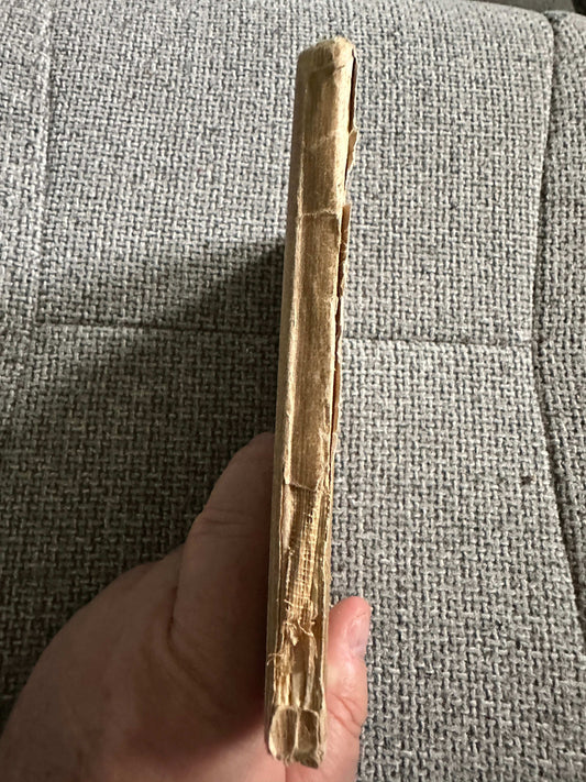 Side view of The Sea-Shore Fairies first edition book showing worn cover and spine