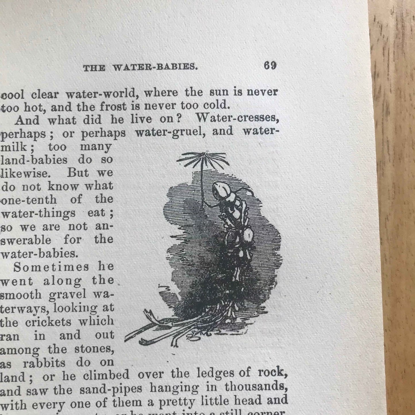 1864 The Water Babies Charles Kingsley with Illustrations by Linley Sambourne - Chatterton-Peck New York Publisher - Honeyburn Books (UK)