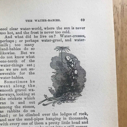 1864 The Water Babies Charles Kingsley with Illustrations by Linley Sambourne - Chatterton-Peck New York Publisher - Honeyburn Books (UK)