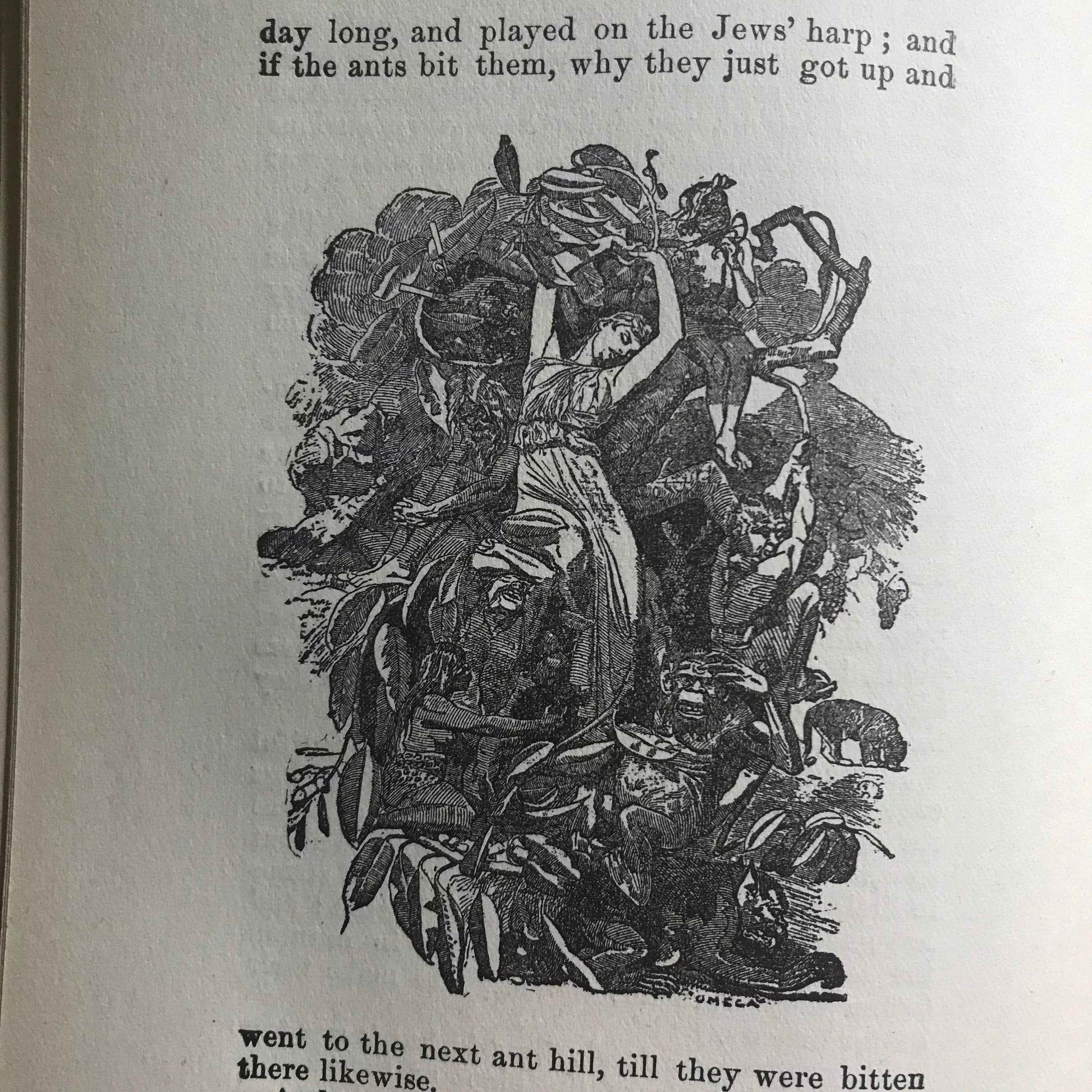 1864 The Water Babies Charles Kingsley with Illustrations by Linley Sambourne - Chatterton-Peck New York Publisher - Honeyburn Books (UK)