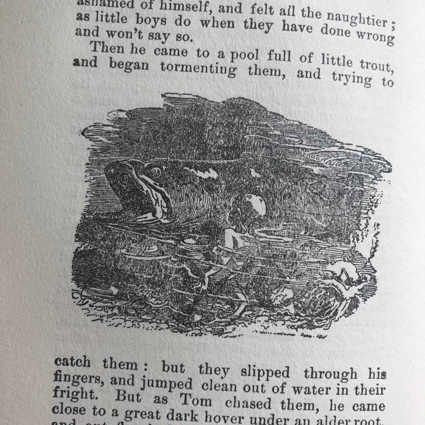 1864 The Water Babies Charles Kingsley with Illustrations by Linley Sambourne - Chatterton-Peck New York Publisher - Honeyburn Books (UK)