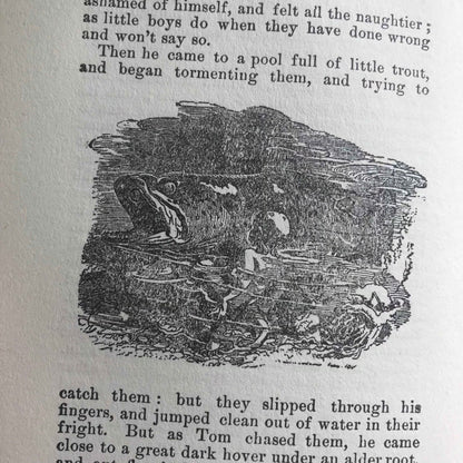 1864 The Water Babies Charles Kingsley with Illustrations by Linley Sambourne - Chatterton-Peck New York Publisher - Honeyburn Books (UK)