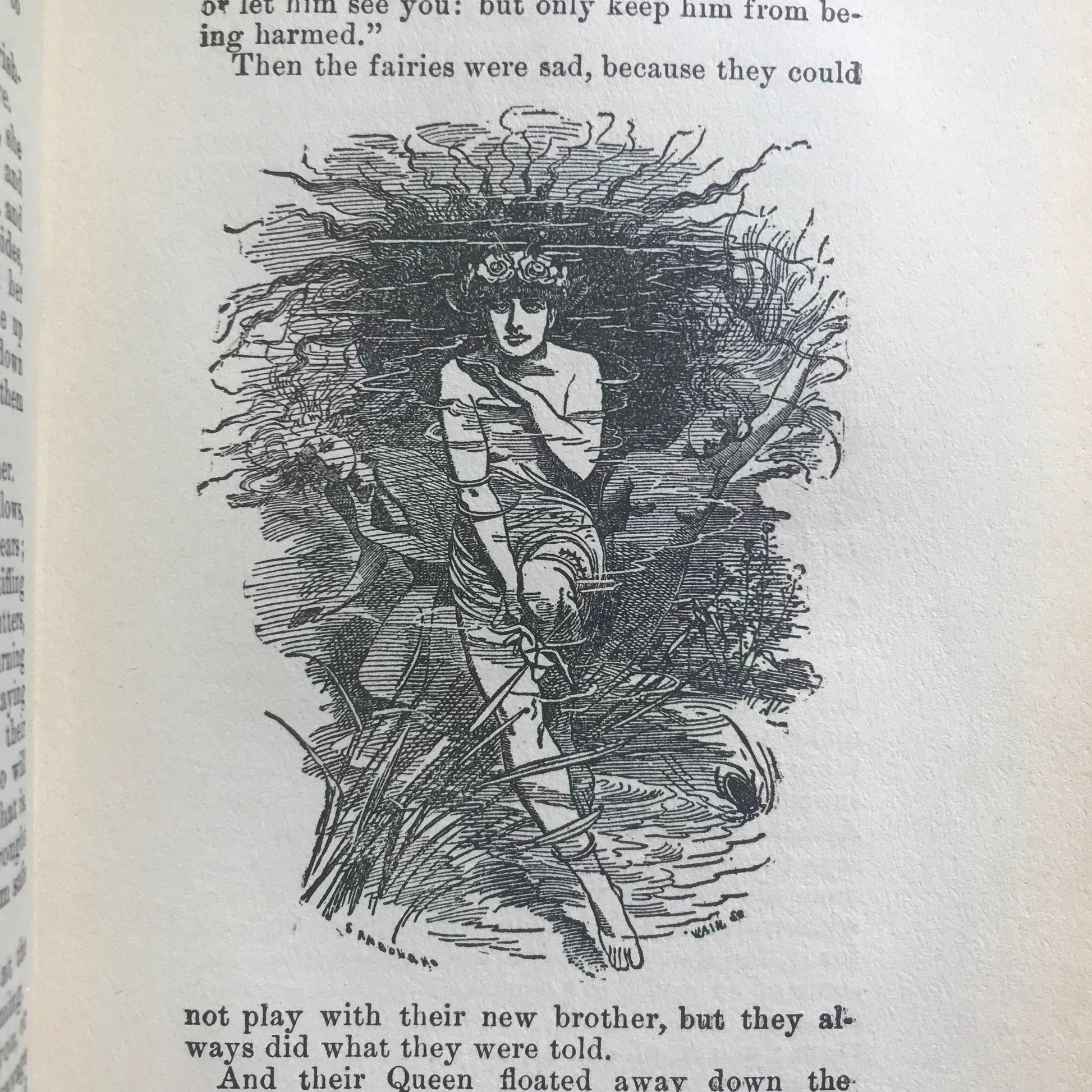 1864 The Water Babies Charles Kingsley with Illustrations by Linley Sambourne - Chatterton-Peck New York Publisher - Honeyburn Books (UK)