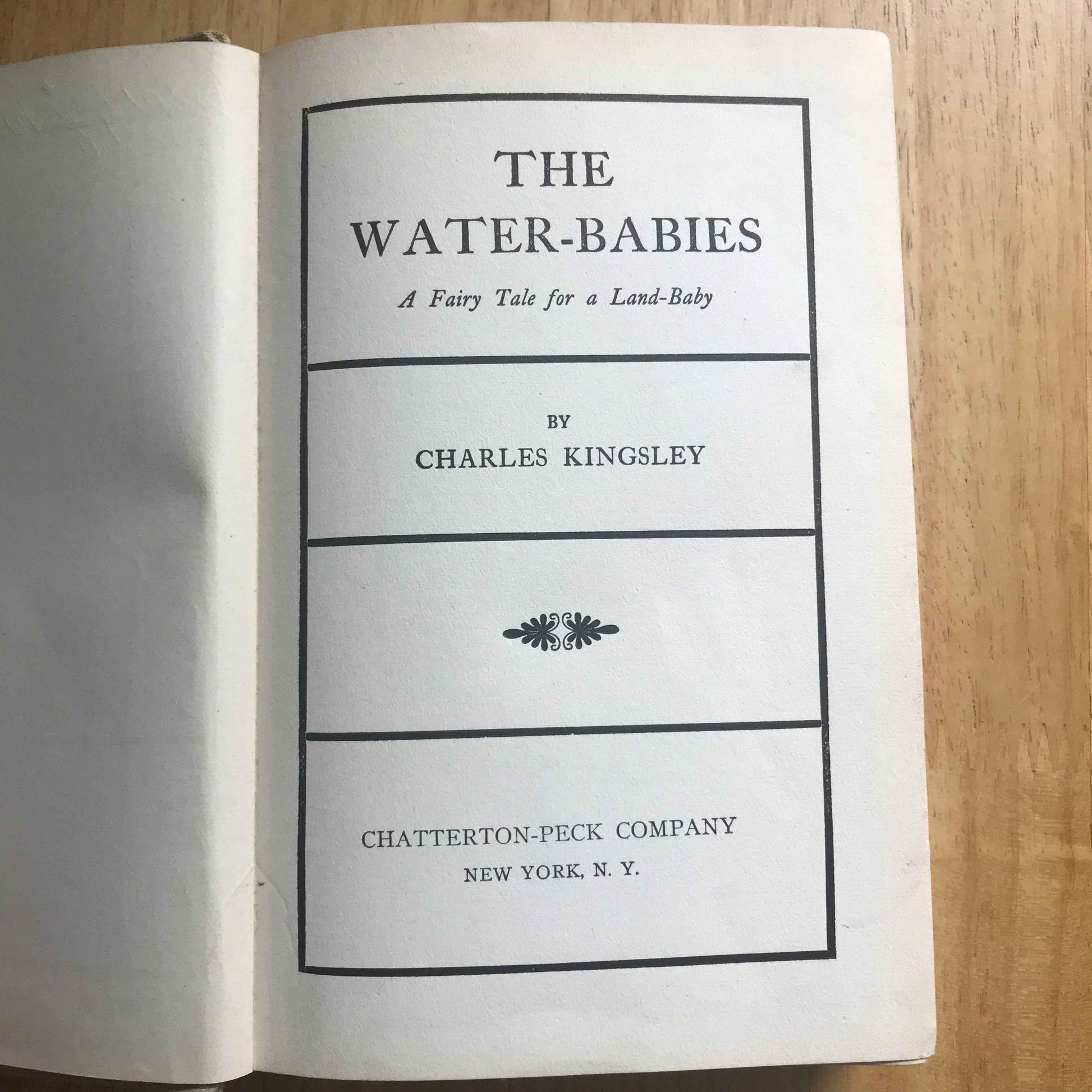 1864 The Water Babies Charles Kingsley with Illustrations by Linley Sambourne - Chatterton-Peck New York Publisher - Honeyburn Books (UK)