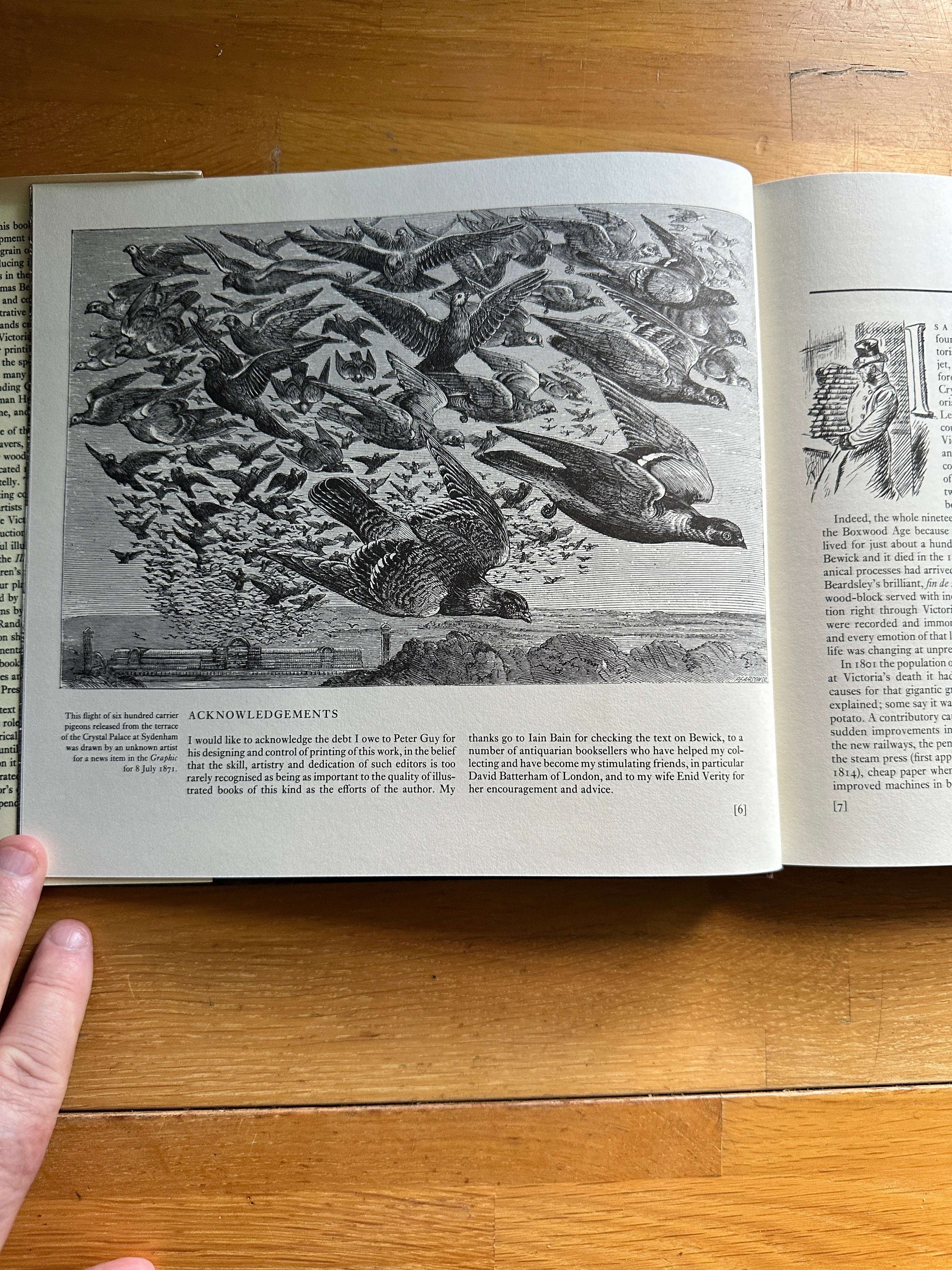 Victorian woodblock illustrators book featuring detailed bird illustrations on a wooden table