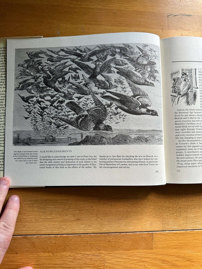 Victorian woodblock illustrators book featuring detailed bird illustrations on a wooden table