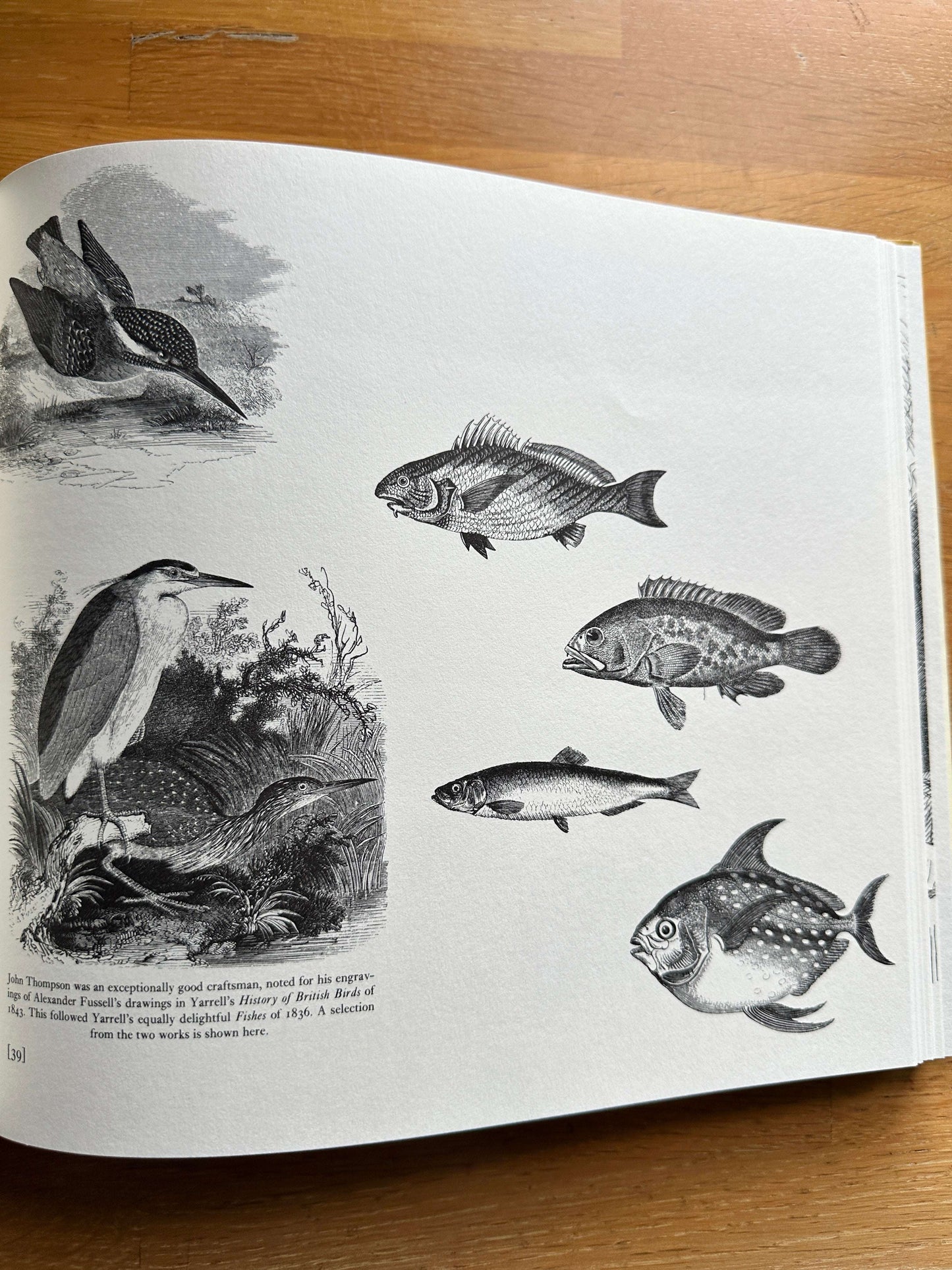 Victorian Woodblock Illustrators Book showcasing illustrations of fish and birds by various artists