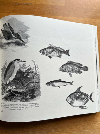 Victorian Woodblock Illustrators Book showcasing illustrations of fish and birds by various artists