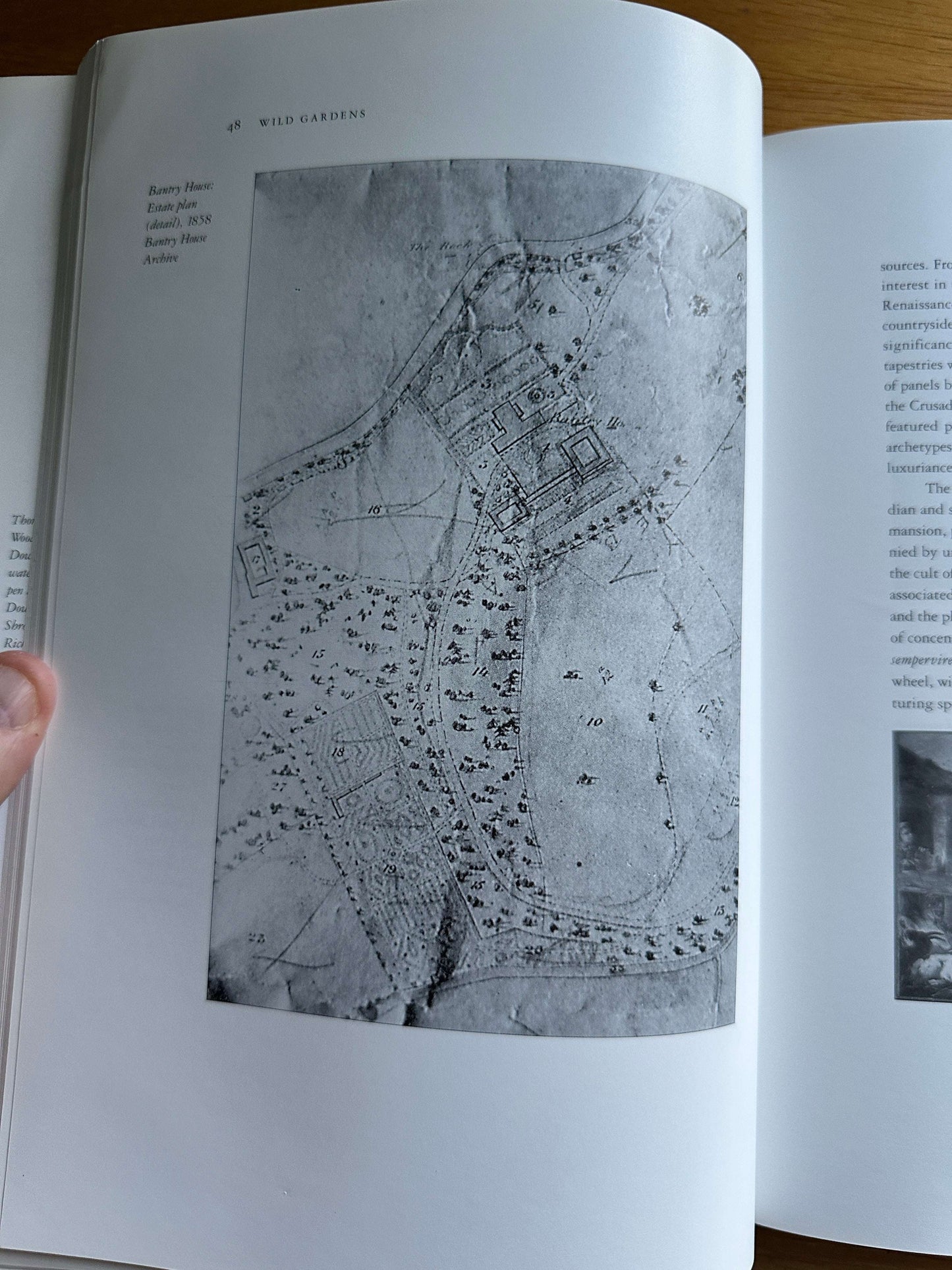 Wild Gardens book Bantry Bay — Honeyburn Books — 2023 — Hardcover edition