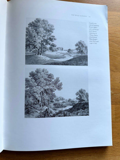 Wild Gardens book Bantry Bay by Honeyburn Books with illustrations of natural landscapes