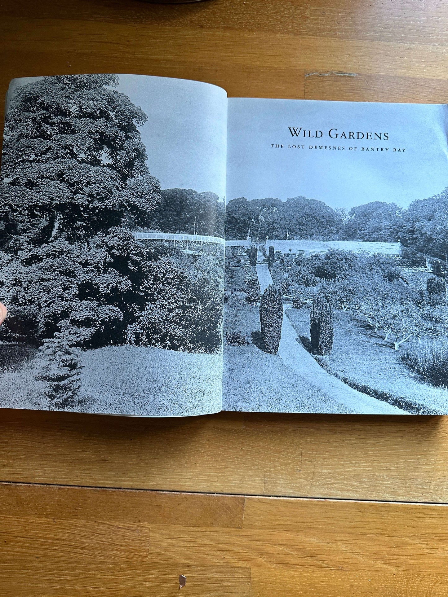 Wild Gardens book Bantry Bay by Honeyburn Books, showcasing beautiful garden landscapes and history