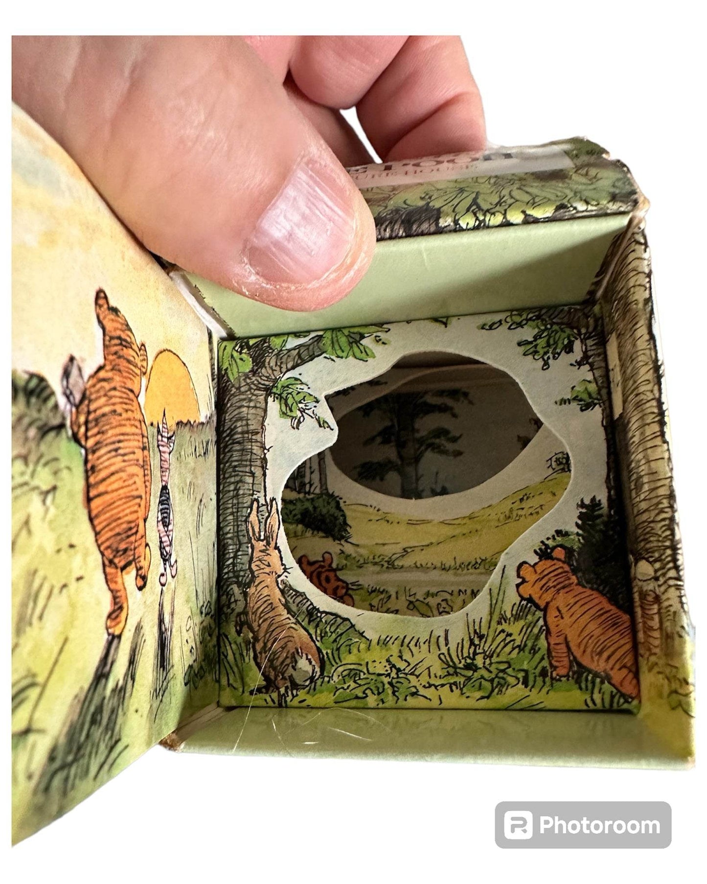 Inside view of the Winnie the Pooh Picture House book featuring illustrated characters in a scenic landscape