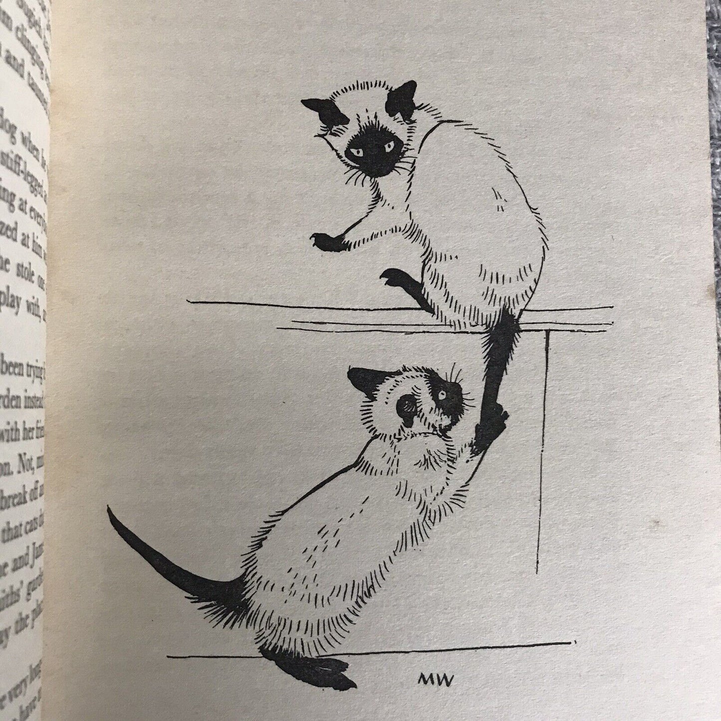 1959 Cats In The Belfry – Doreen Tovey (Illustrator Maurice Wilson) Elek Books