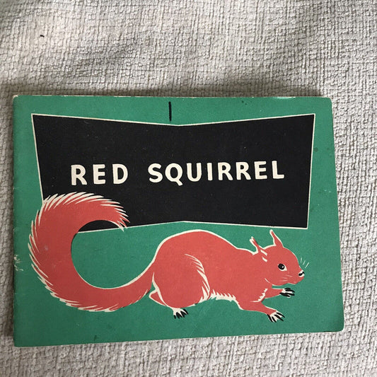 1953 Rotes Eichhörnchen – Jenny Taylor *Selten* Oliver &amp; Boyd