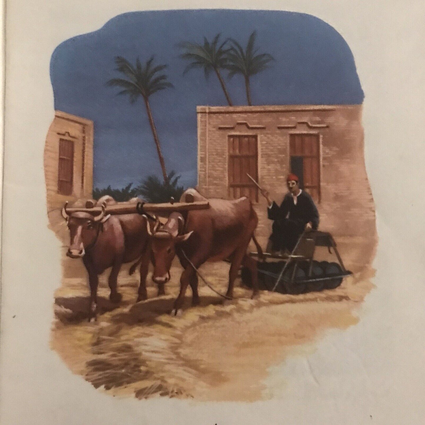 1959 My Home In Egypt (8) – Isabel Crombie (Longmans Green)