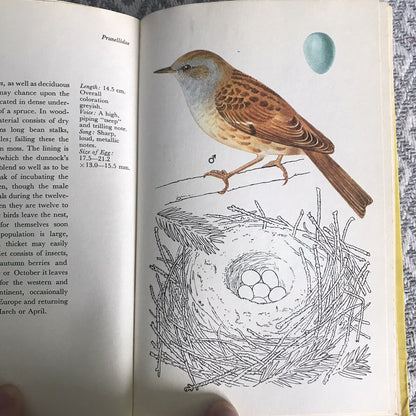 1974*1st* Garden & Field Birds Eggs & Nests - Jiri Felix(Kvetoslav Hisek Illust)