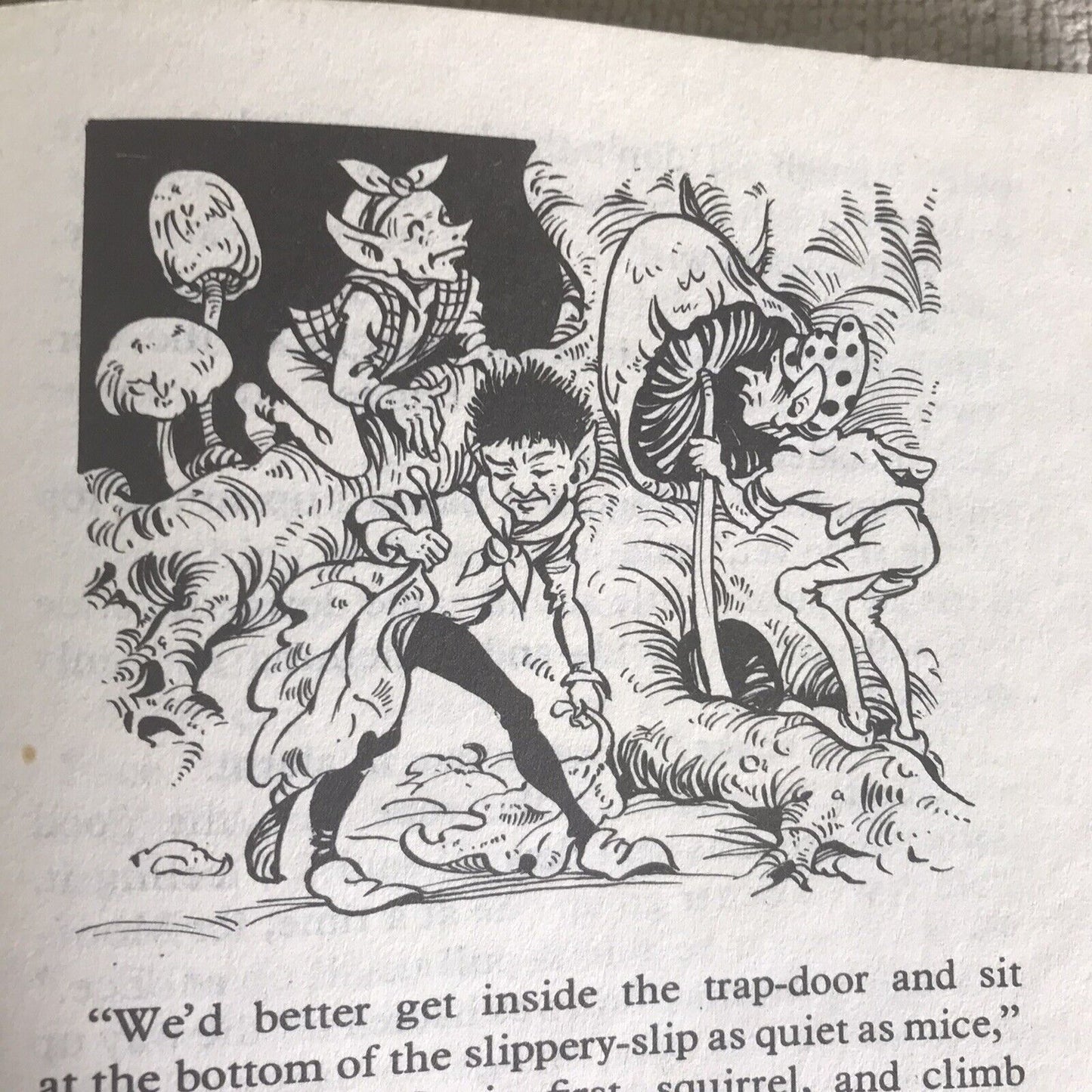 THE ENCHANTED WOOD by Enid Blyton, published by Dean & Son Ltd 1971