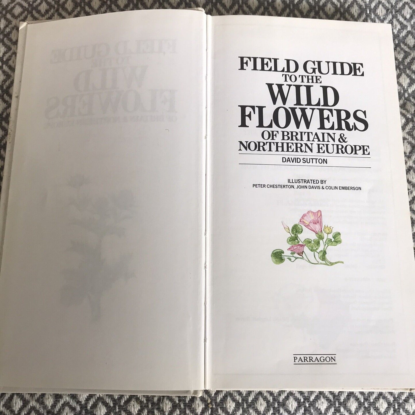 Field Guide to the Wild Flowers of Britain and Nort... by Sutton, David Hardback