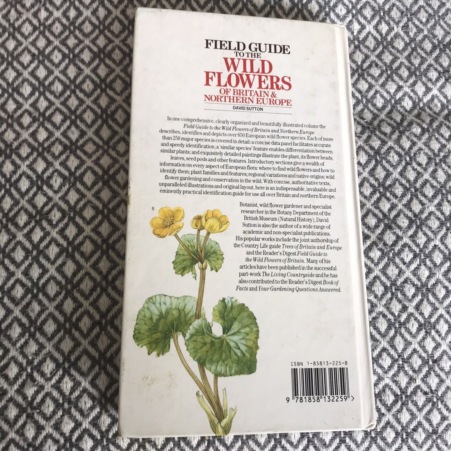 Field Guide to the Wild Flowers of Britain and North... von Sutton, David, gebundene Ausgabe