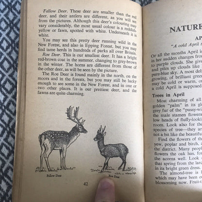 1971*1.* Enid Blyton Nature Lover's Book Nummer 3 (Armada)