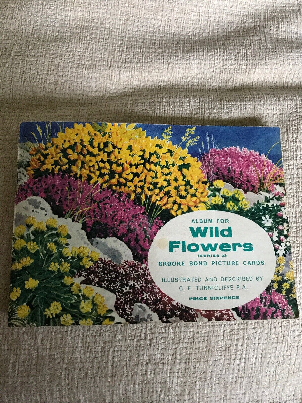 1960er Brook Bond Teekarten Wild Flowers (Serie 2)CF Tunnicliffe